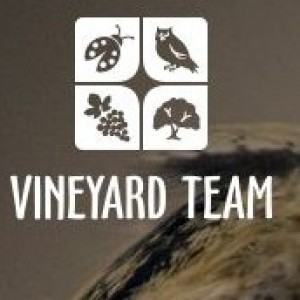 Vineyard Team