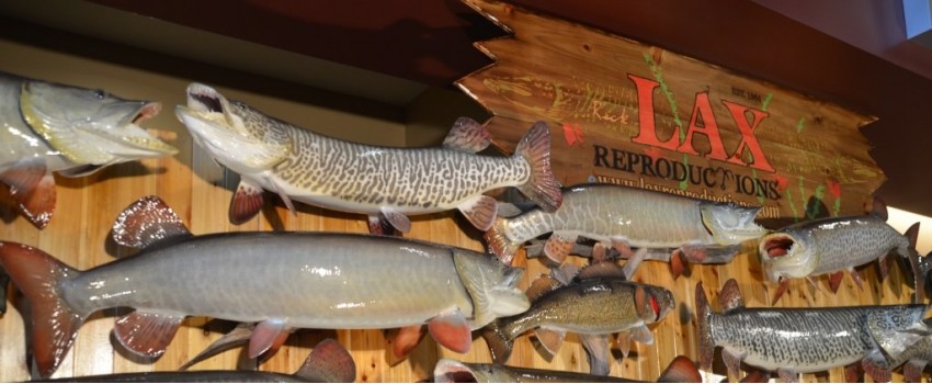 The Muskie Expo (Jan 2023), Kane County, United States - Exhibitions