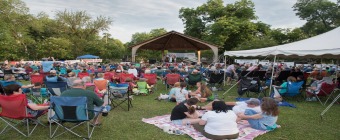 The Georgia Blueberry Festival (May 2024), Bacon County, United States ...