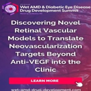 4th Wet AMD and Diabetic Eye Disease Drug Development