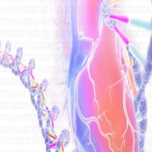 The Genetics of Heart and Vascular Disease