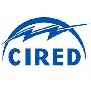 CIRED 2025 - 28th International Conference and Exhibition on Electricity Distribution