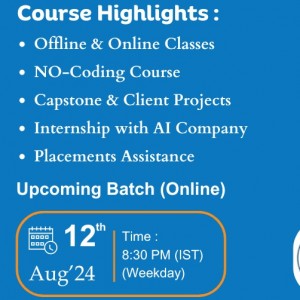 Data Analyst Online Course in Bangalore