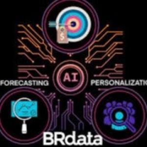 BRdata World 2024