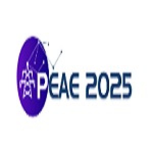 3rd International Conference on Power and Automation Engineering (PEAE 2025)