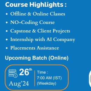 Data Analyst Certification Course in Delhi