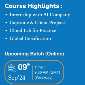 Data Scientist Online Classes in Malaysia