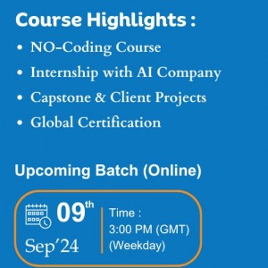 Online Data Analyst Certification in Singapore