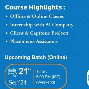 Data Scientist Online Course in Delhi