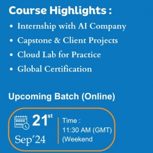 Data Scientist Online Course in Malaysia