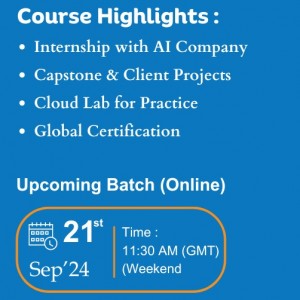 Data Scientist Online Course in Australia