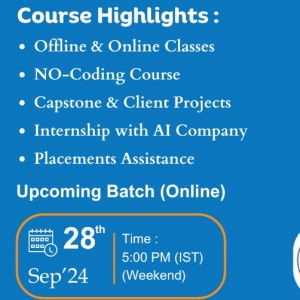 Data Analyst Online Sessions in Delhi