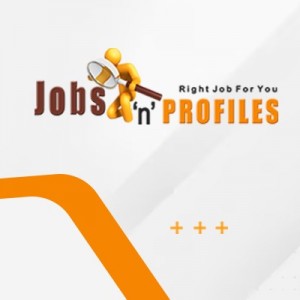 Jobs 'n' Profiles Virtual IT Job Fair