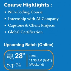 Data Analyst Course with Internship in UK