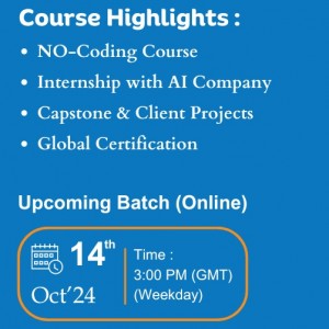 Data Analyst Online Sessions in Indonesia