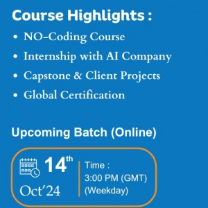 Data Analyst Online Sessions in Singapore