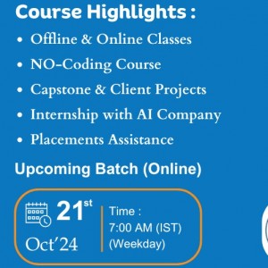 Online Certified Data Analyst Course in Pune