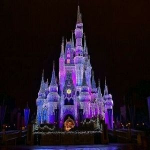 CME at Walt Disney World Orlando June 16-19, 2025