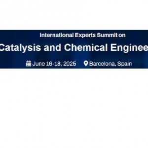 International Experts Summit on Catalysis and Chemical Engineering