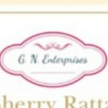 G.N.Enterprises