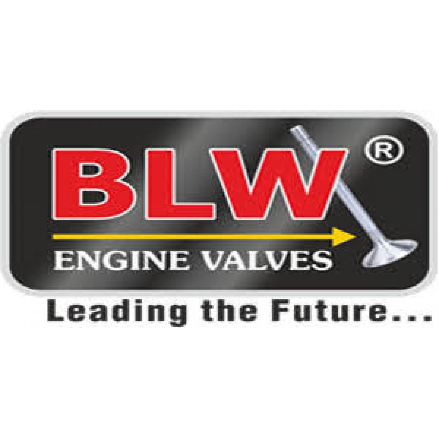 Automotive Genuine Quality Engine Valves, 35 Per Piece, BLW ENGINE