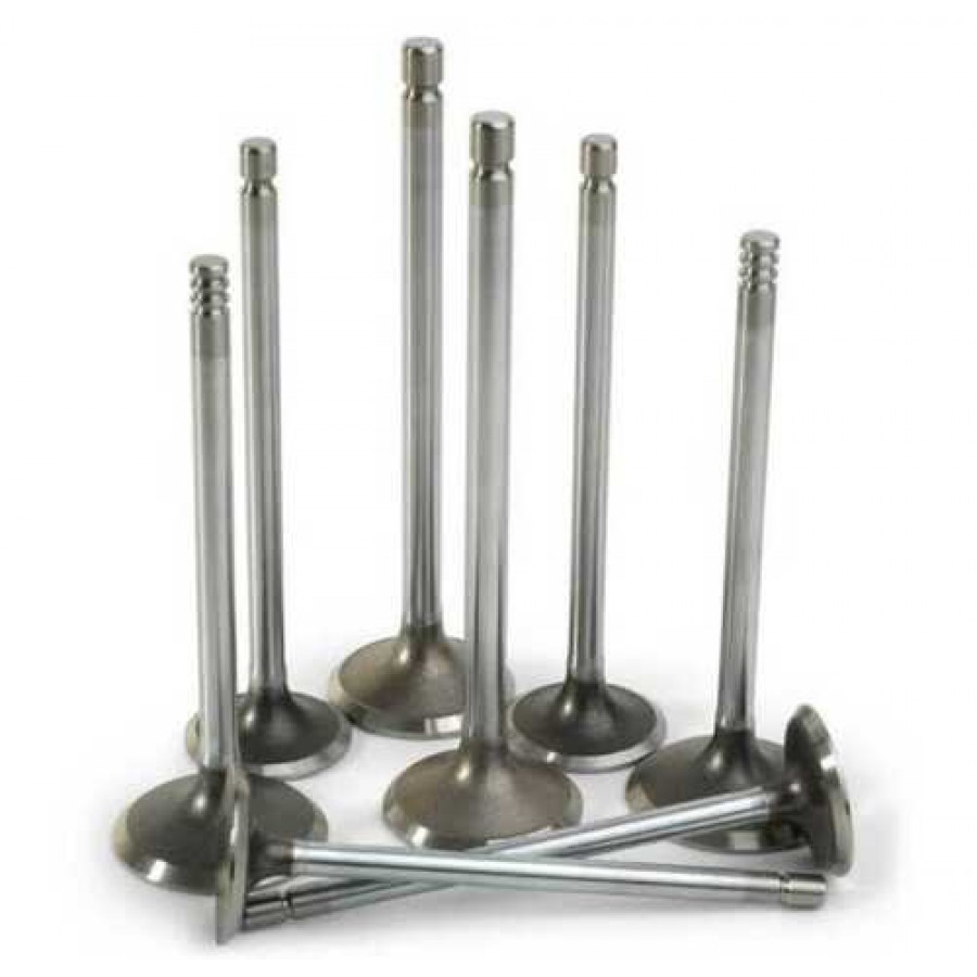 Corrosion Resistant Cast Iron Polished Silver Automotive Engine Valves ...