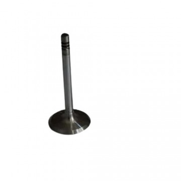 3 Inches Galvanized Cast Iron Alloy Three Wheeler Engine Valve