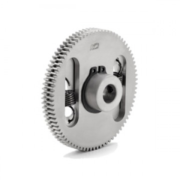 Anti Backlash Spur Gear