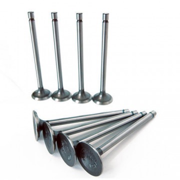 Anti Rust Steel Engine Valve