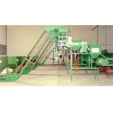 Automatic Cashew Nut Processing Machine