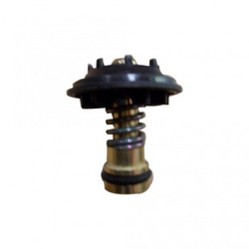 Automotive Ddu Valve