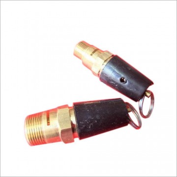 Automotive Safety Valve