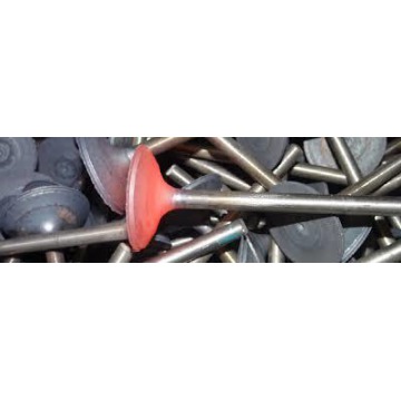 AVR Engine Valves