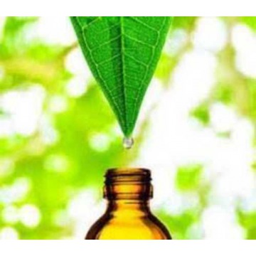 Bio Grade Plant Extract