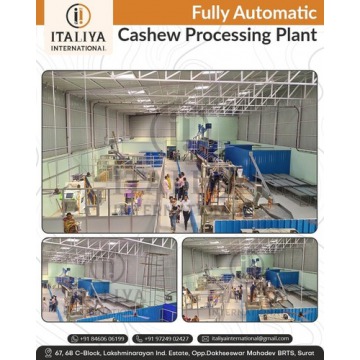 Cashew Nut Processing Machinery