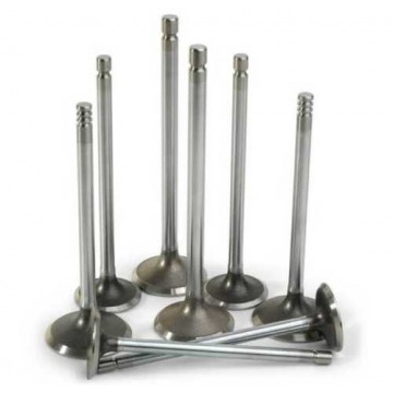 Corrosion Resistant Cast Iron Polished Silver Automotive Engine Valves