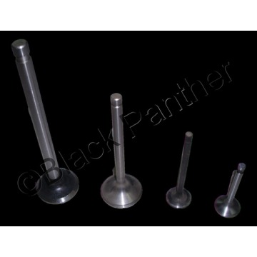 Engine Valves