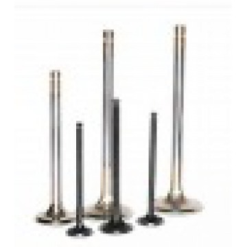 Engine Valves