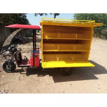 Fiber Body Vegetable Rickshaw Cart