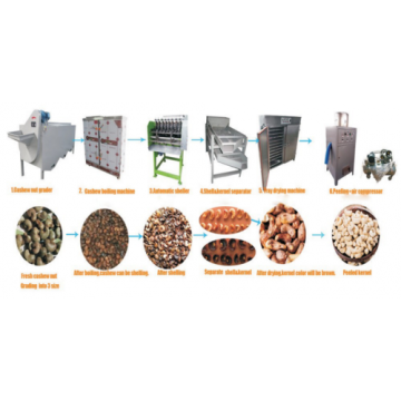 Full Automatic Cashew Processing Machine