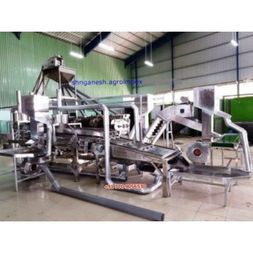 Fully Automatic Cashew Processing Machine