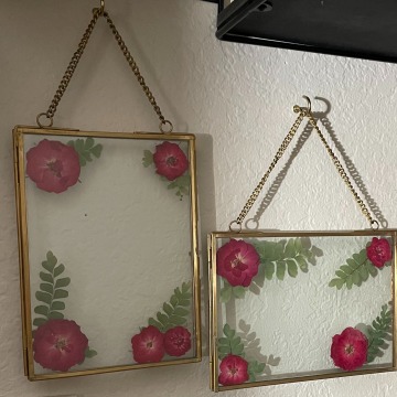 Pressed flowers framed