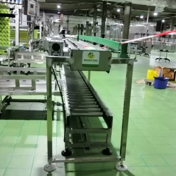 Conveyer Systems