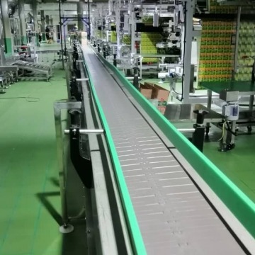 Conveyer Systems