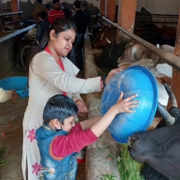 Gau Sewa (Chara Daan 60 KG)