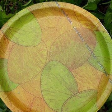 Recyclable paper plates