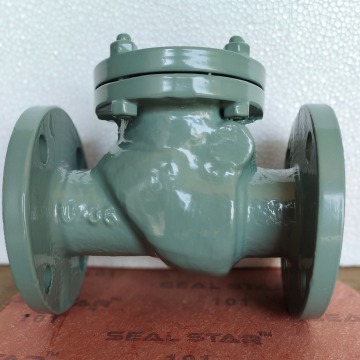 SWING CHECK VALVE