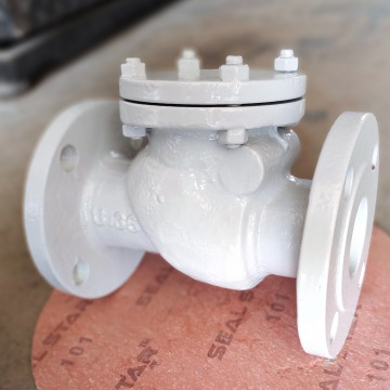 SWING CHECK VALVE