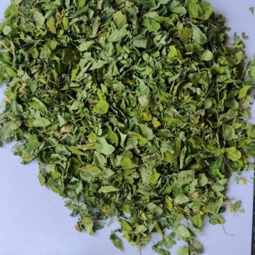 Moringa Dry Leaves