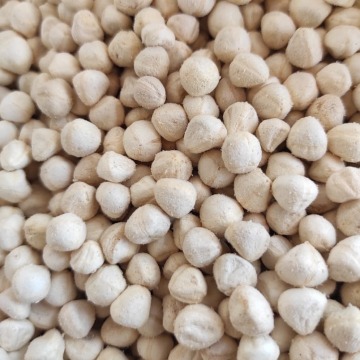 Moringa Kernel Seeds